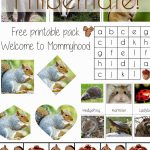 Science Activities For Preschoolers And Toddlers: Hibernation | Free Printable Hibernation Worksheets
