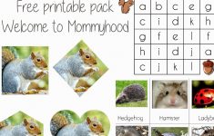 Science Activities For Preschoolers And Toddlers: Hibernation | Free Printable Hibernation Worksheets