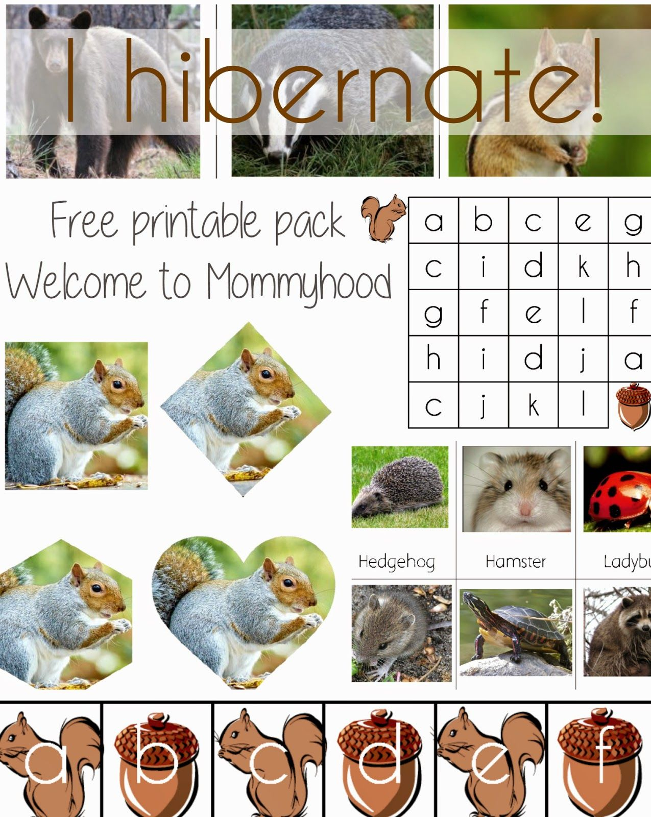 Science Activities For Preschoolers And Toddlers Hibernation Free 