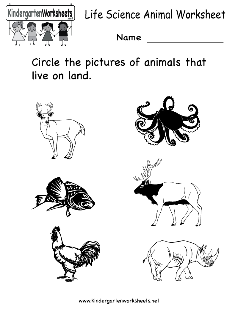 Science Printables For Kids | Life Science Animal Worksheet - Free | Kindergarten Science Worksheets Printable