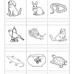 Stempelkaart | Pets Preschool Theme | Kindergarten Worksheets | Free Printable Pet Worksheets