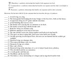 Symbiosis Worksheet: Free Printable Worksheets On High School Bio | Free Printable Worksheets For Highschool Students