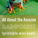 The Amazon Rainforest For Kids With Free Printable Mini Book | Rainforest Printable Worksheets