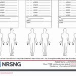 The Ultimate Nursing Brain Sheet Database (33 Nurse Report Sheet | Printable Nursing Worksheets