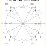 Unit Circle Chart Blank Unit Circle Chart Printable Fill In The Unit | Free Printable Pie Graph Worksheets