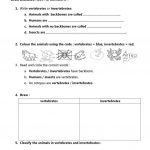 Vertebrates And Invertebrates Worksheet   Free Esl Printable | Free Printable Worksheets On Vertebrates And Invertebrates