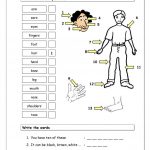 Vocabulary Matching Worksheet   Body Parts (1) Worksheet   Free Esl | Free Printable Worksheets Preschool Body Parts
