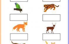 Animal Sounds Printable Worksheets